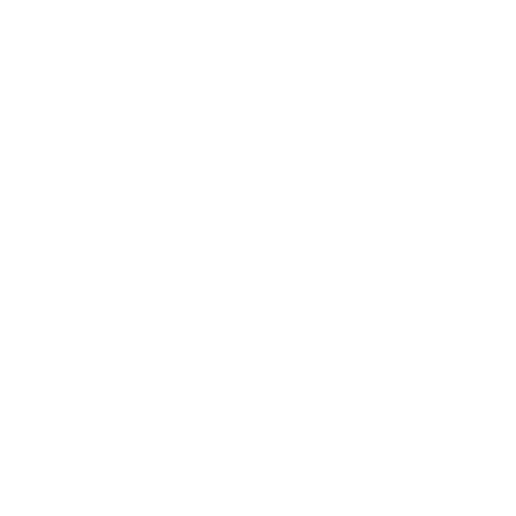 bsoft white sq logo